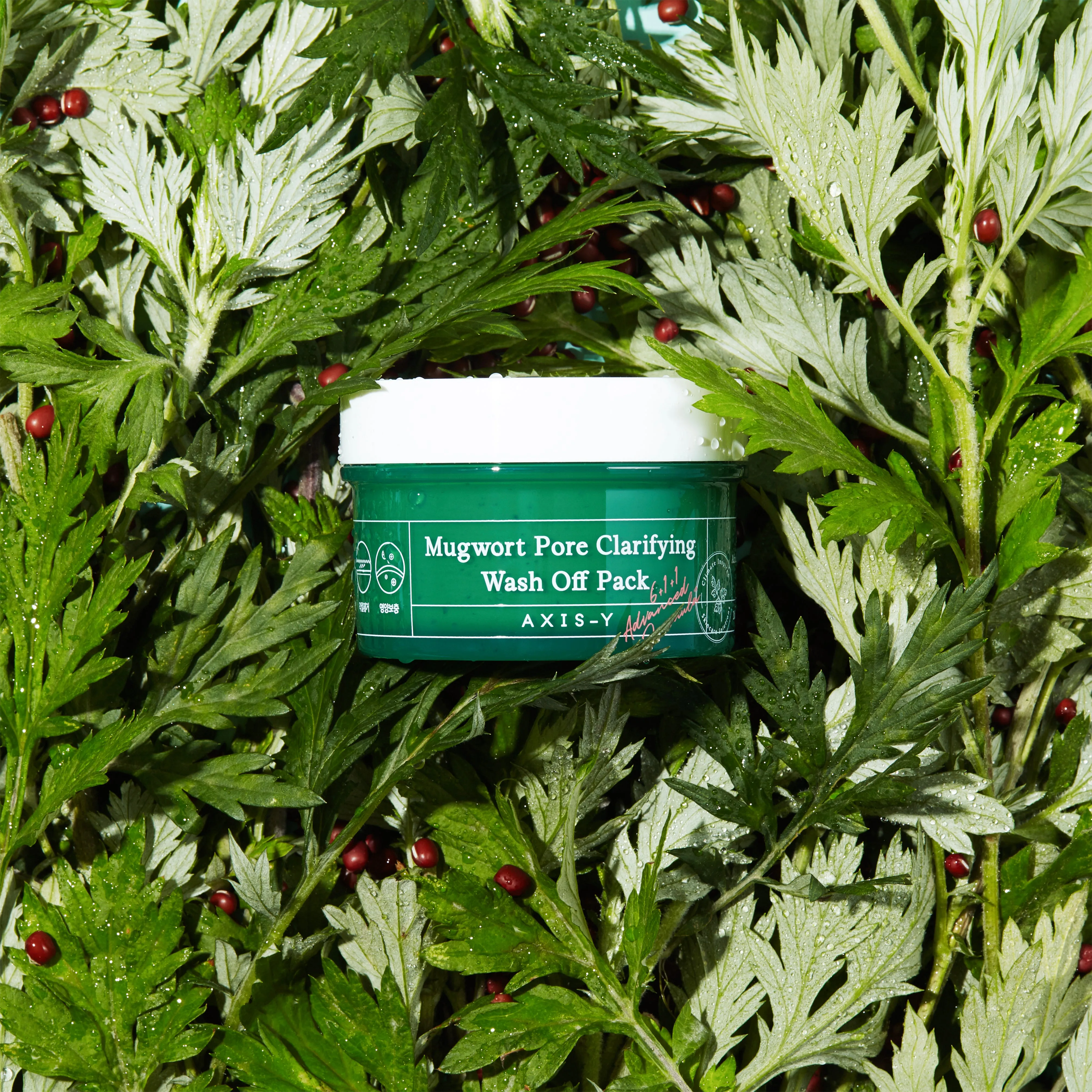 Axis-Y Mugwort Pore Clarifying Wash Off Pack