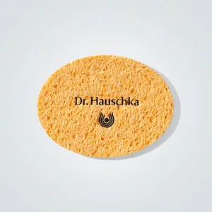 Cosmetic Sponge