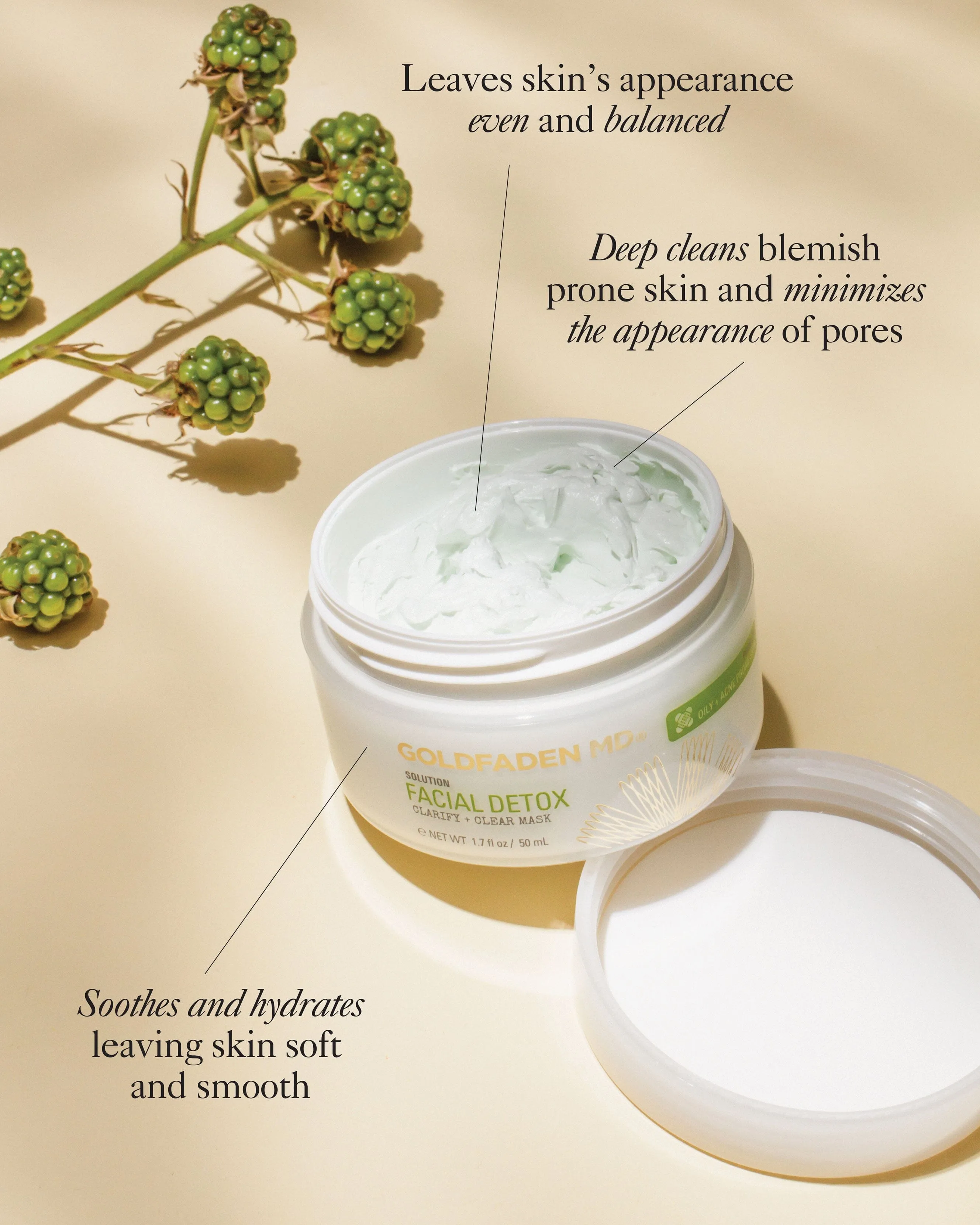 Facial Detox Pore Clarifying Mask