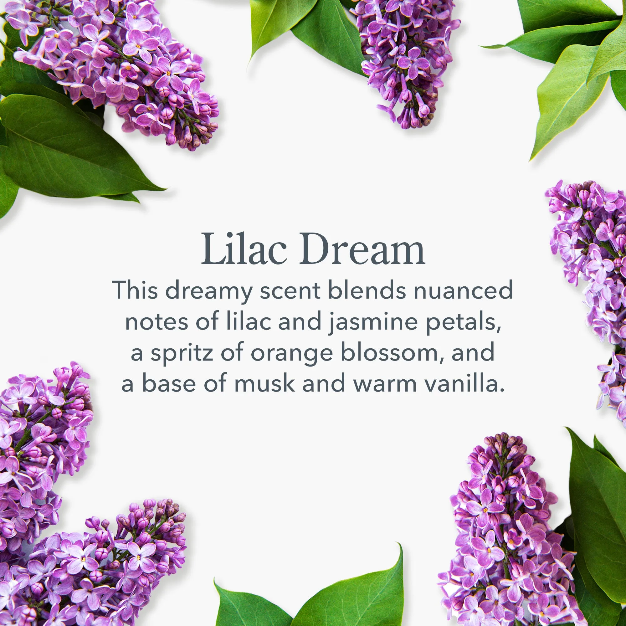 Lilac Dream Mini Hand Cream Set of 3