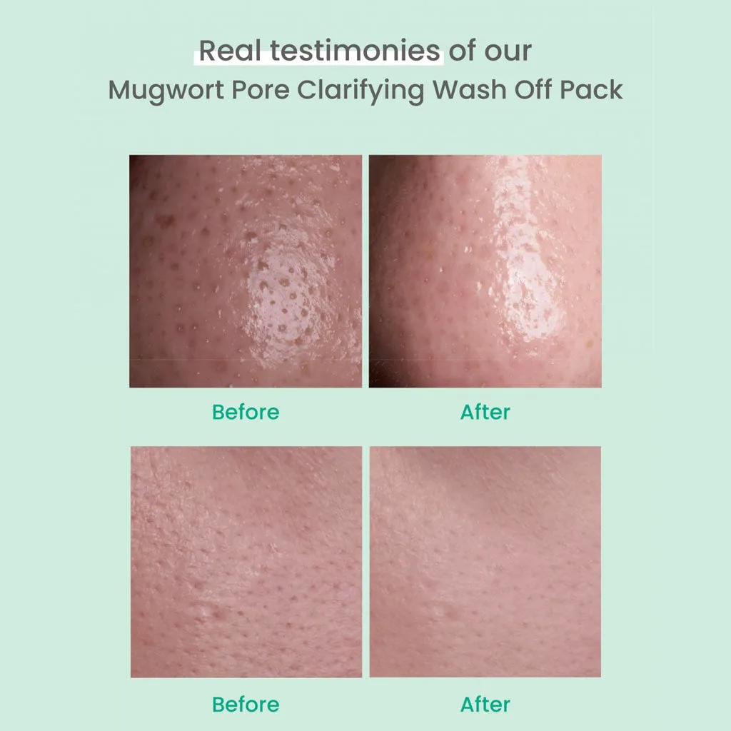 Mugwort Pore Clarifying Wash Off Pack