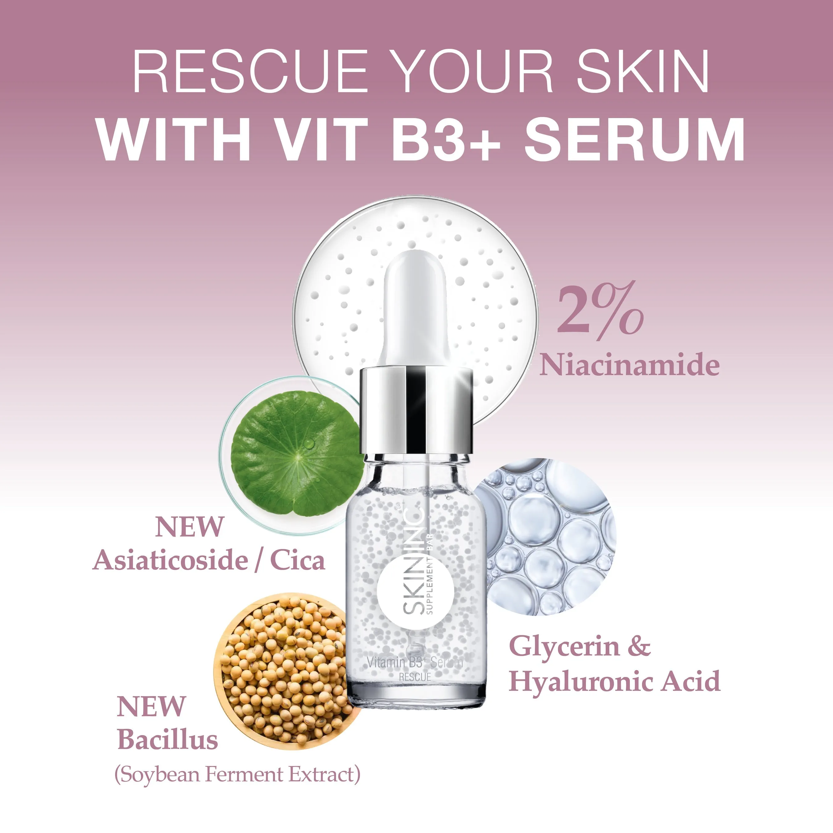 Vitamin B3  (Niacinamide) Serum - Upgraded Formula